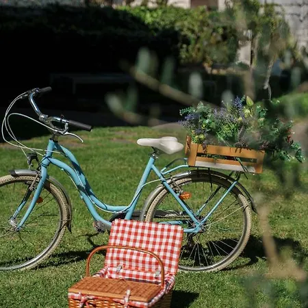 Design & Wine Caminha