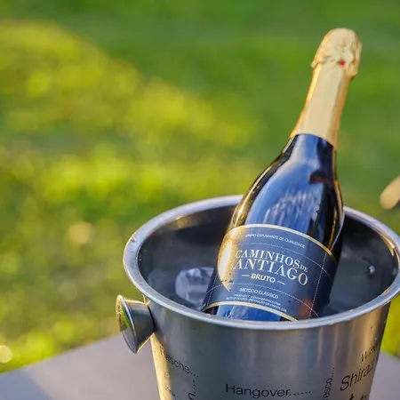 ホテル Design & Wine 4*