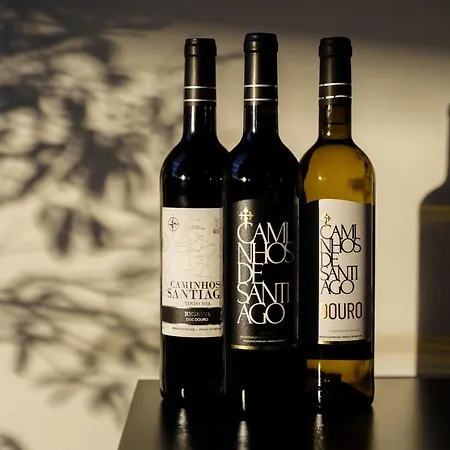 ホテル Design & Wine 4*