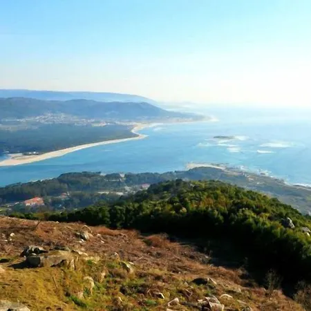 Design & Wine カミーニャ