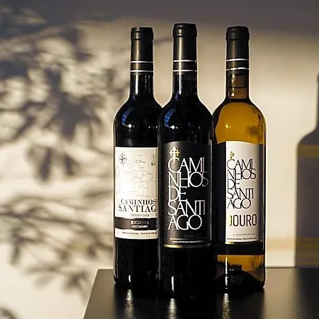 Design & Wine