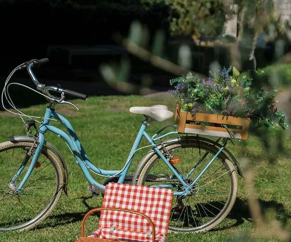 Design & Wine Caminha