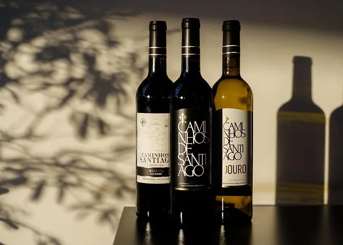 Hotel Design & Wine 4*